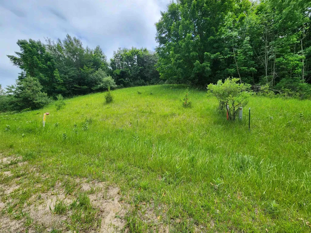 0000 Deer Ridge Trail Lake Township MI 49617