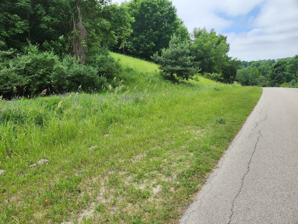 0000 Deer Ridge Trail Lake Township MI 49617