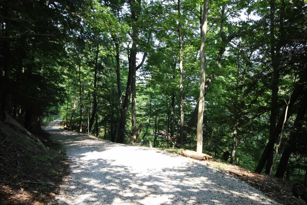 0000 Deer Ridge Trail Lake Township MI 49617
