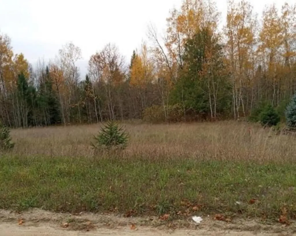 000 Bennett Road Acme Township MI 49690