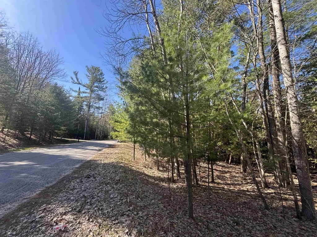 4715 Springbrook Drive Acme Township MI 49690