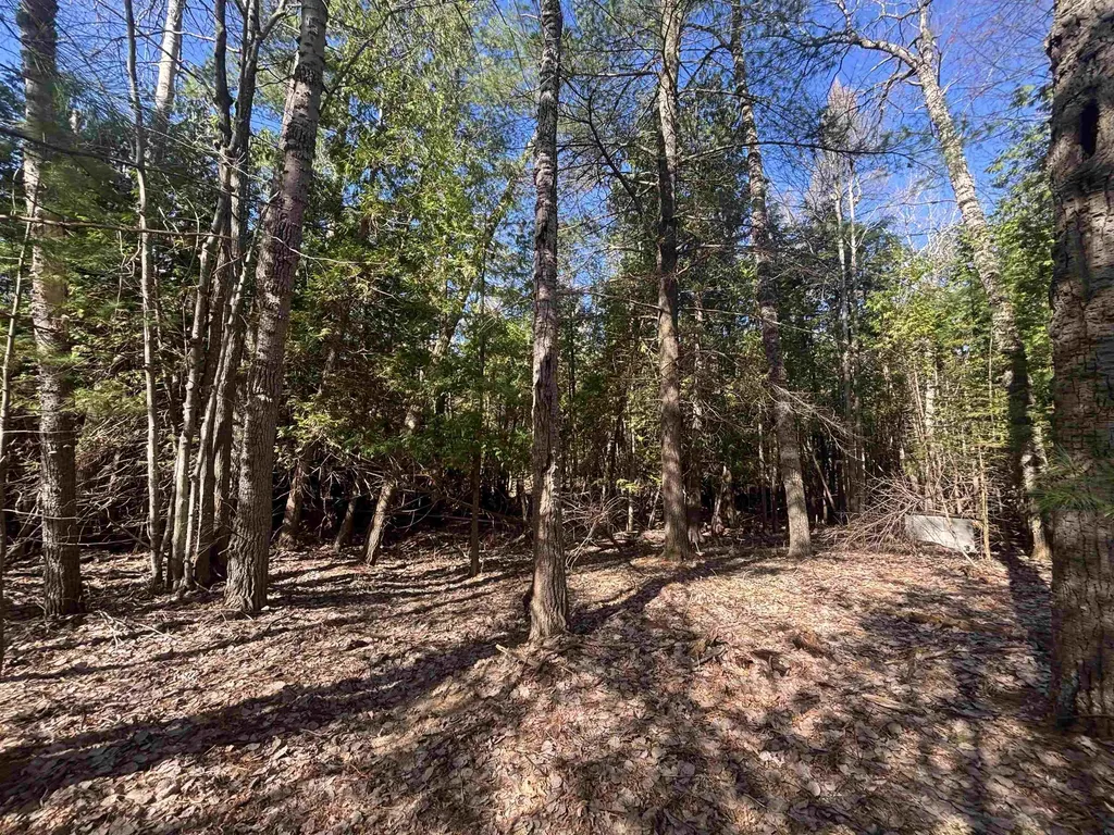 4715 Springbrook Drive Acme Township MI 49690