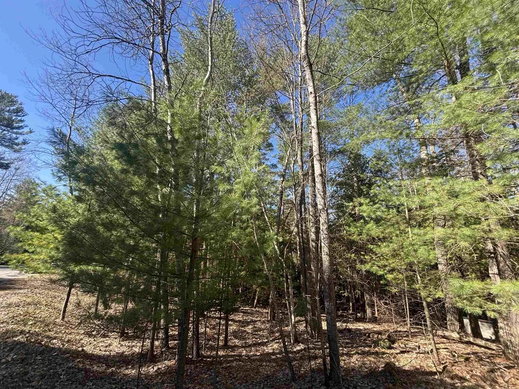4715 Springbrook Drive Acme Township MI 49690