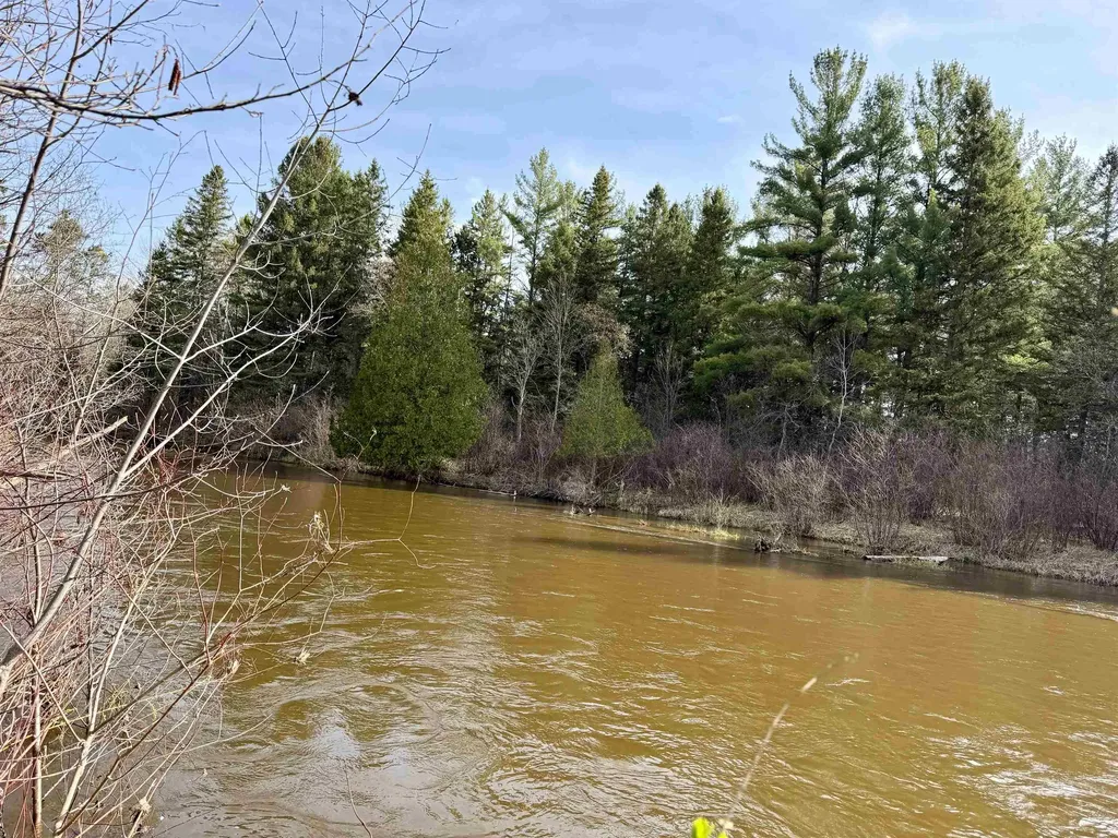 820 Boardman Acres Drive Blair Township MI 49696