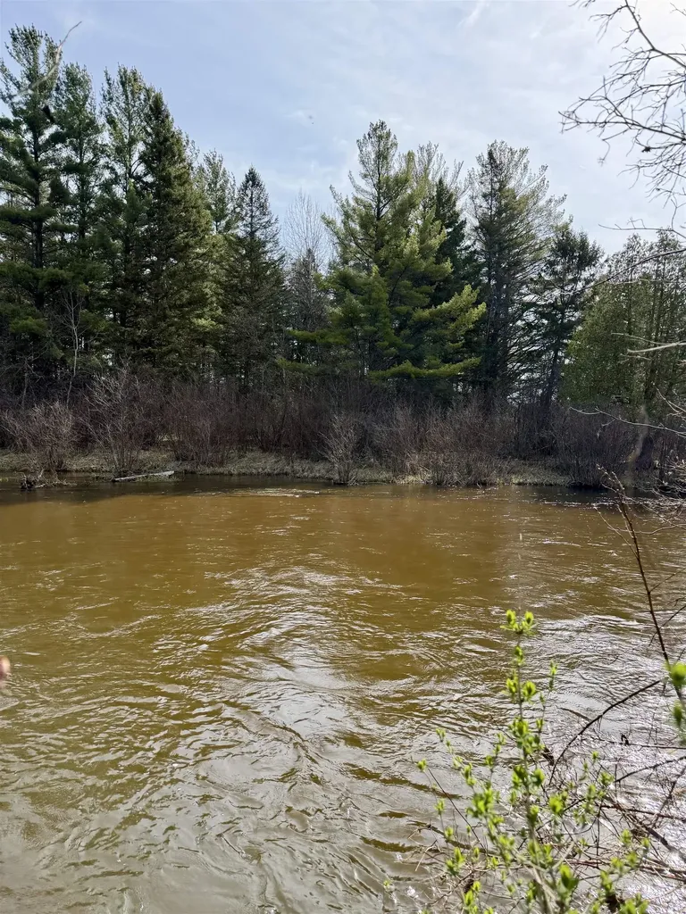 820 Boardman Acres Drive Blair Township MI 49696