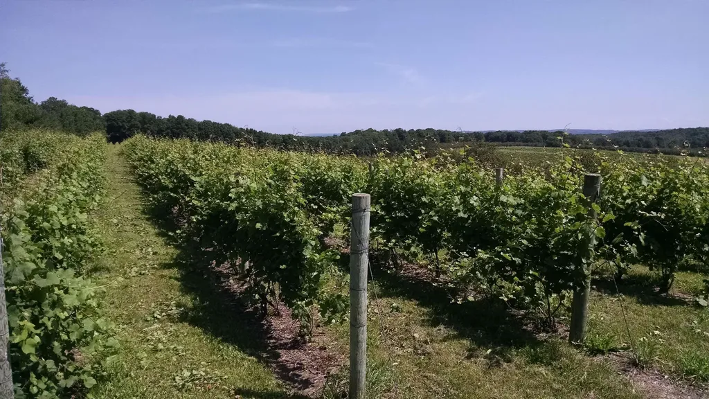 56 S French Road Leland Township MI 49653