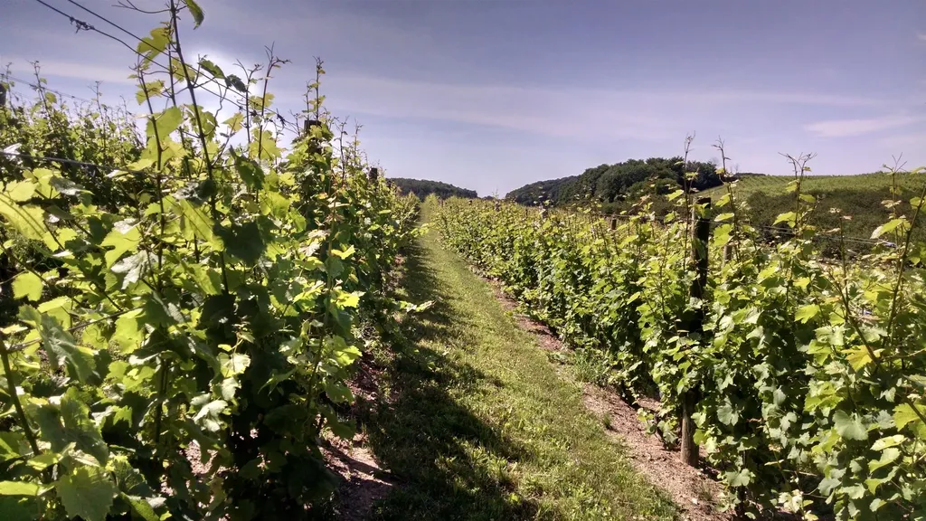 56 S French Road Leland Township MI 49653