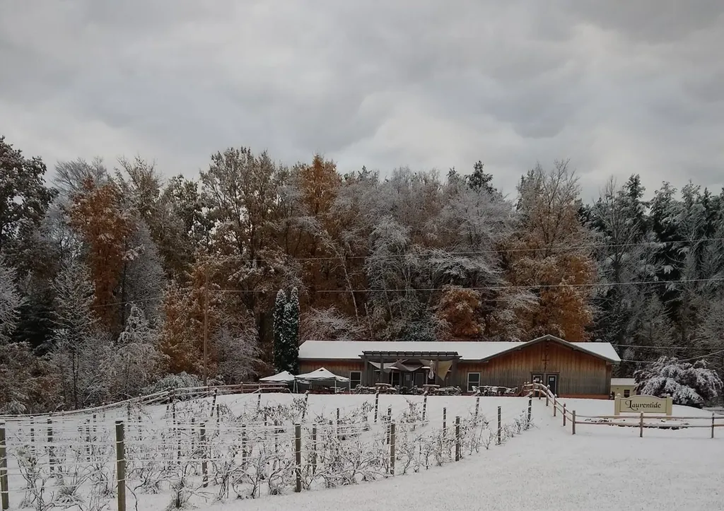56 S French Road Leland Township MI 49653