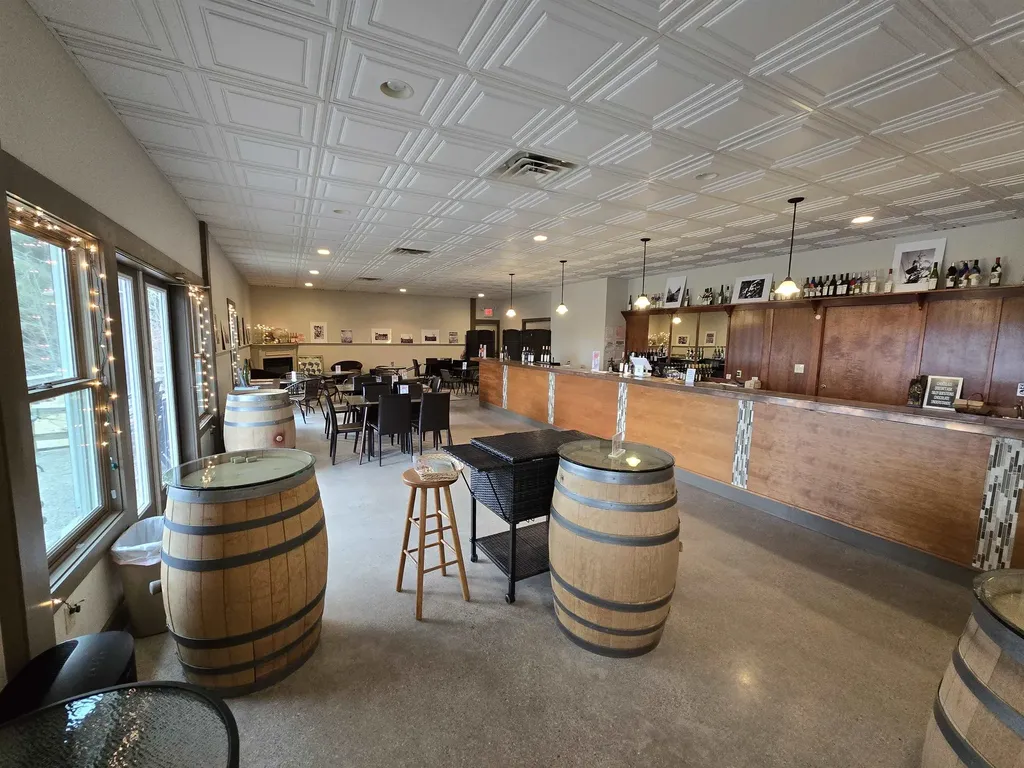 56 S French Road Leland Township MI 49653