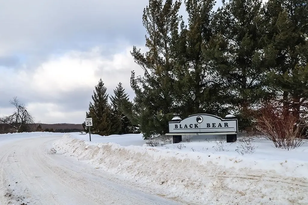 433 Alexander Road Corwith Township MI 49795