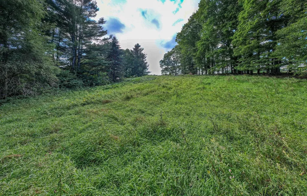 Lot #9 Kadi Lane Almira Township MI 49650