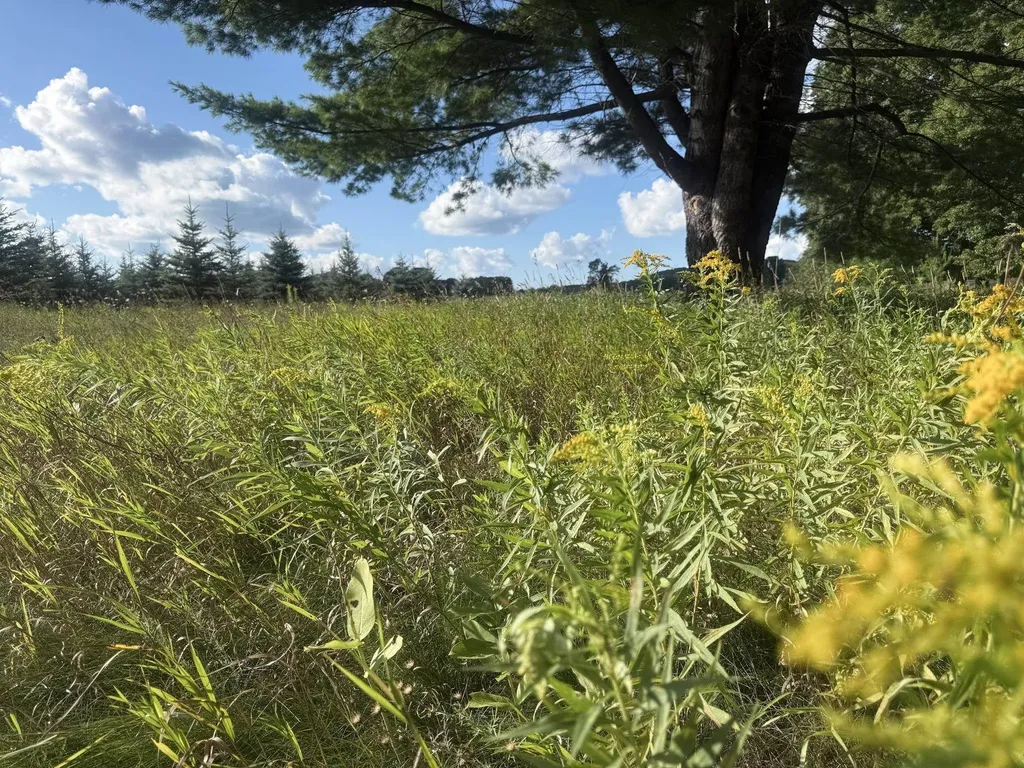 Lot #9 Kadi Lane Almira Township MI 49650