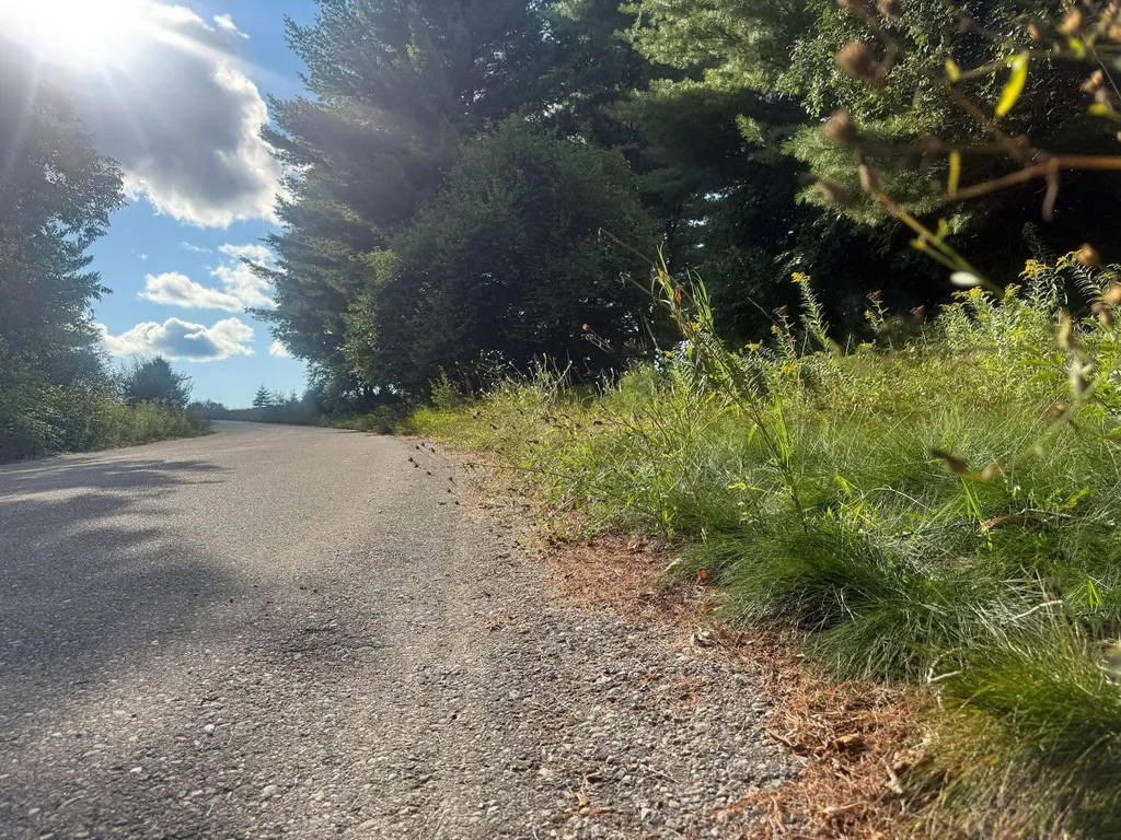 Lot #9 Kadi Lane Almira Township MI 49650