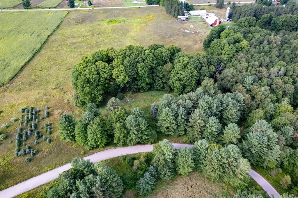 Lot #9 Kadi Lane Almira Township MI 49650