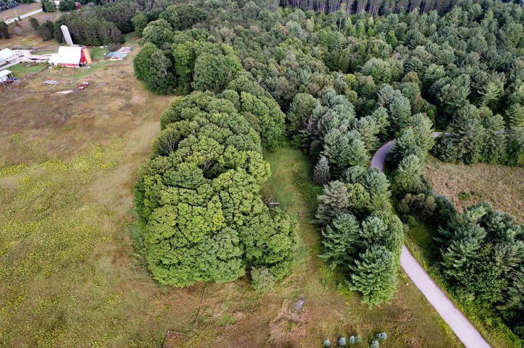 Lot #9 Kadi Lane Almira Township MI 49650