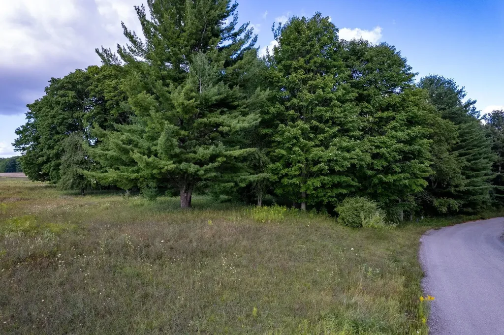 Lot #9 Kadi Lane Almira Township MI 49650