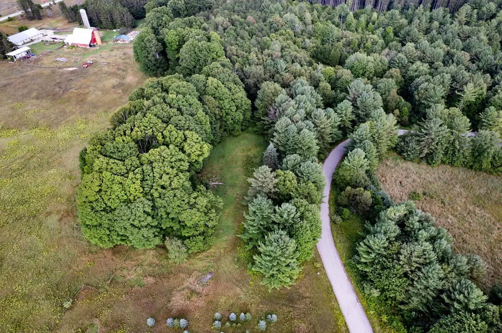 Lot #9 Kadi Lane Almira Township MI 49650