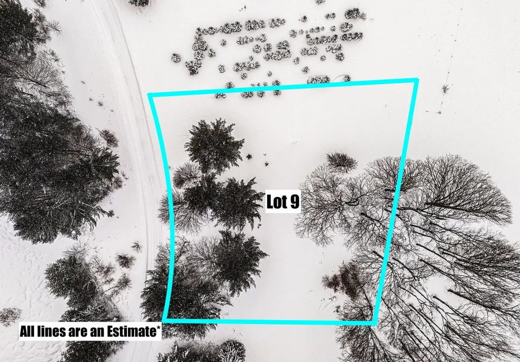 Lot #9 Kadi Lane Almira Township MI 49650