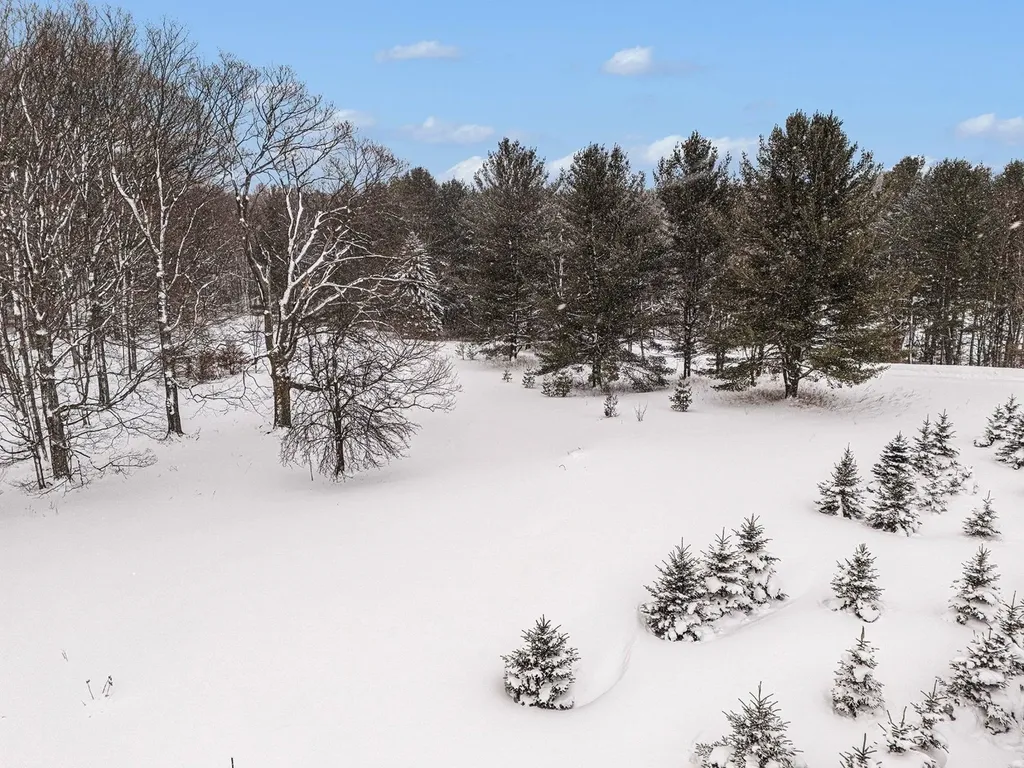 Lot #9 Kadi Lane Almira Township MI 49650