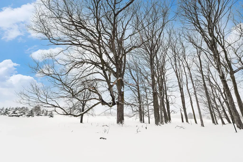 Lot #9 Kadi Lane Almira Township MI 49650