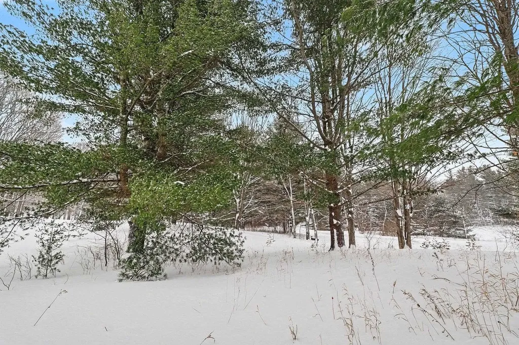 Lot #9 Kadi Lane Almira Township MI 49650