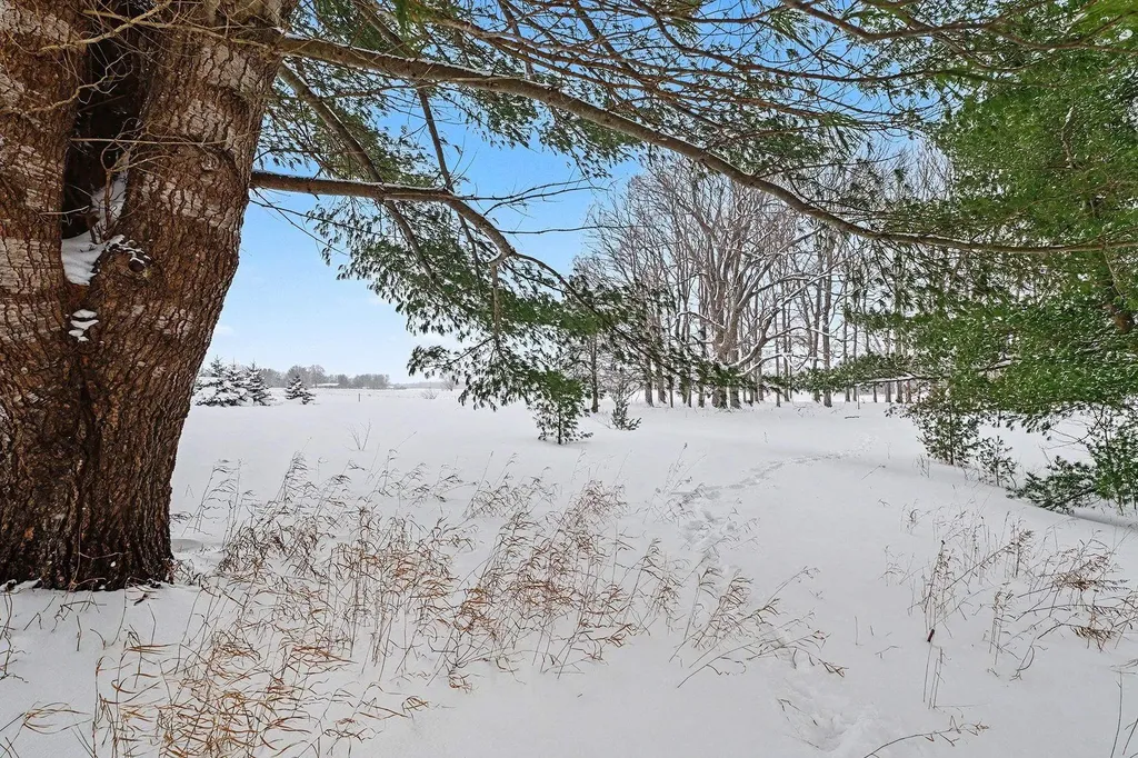 Lot #9 Kadi Lane Almira Township MI 49650