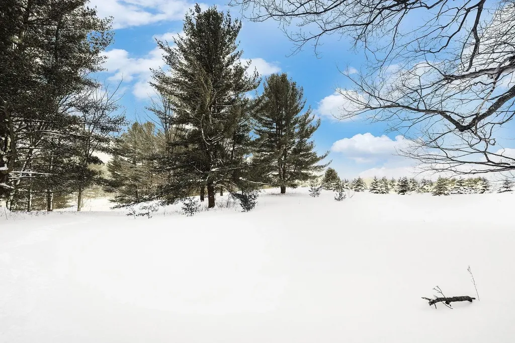 Lot #9 Kadi Lane Almira Township MI 49650