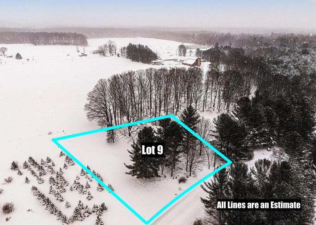 Lot #9 Kadi Lane Almira Township MI 49650