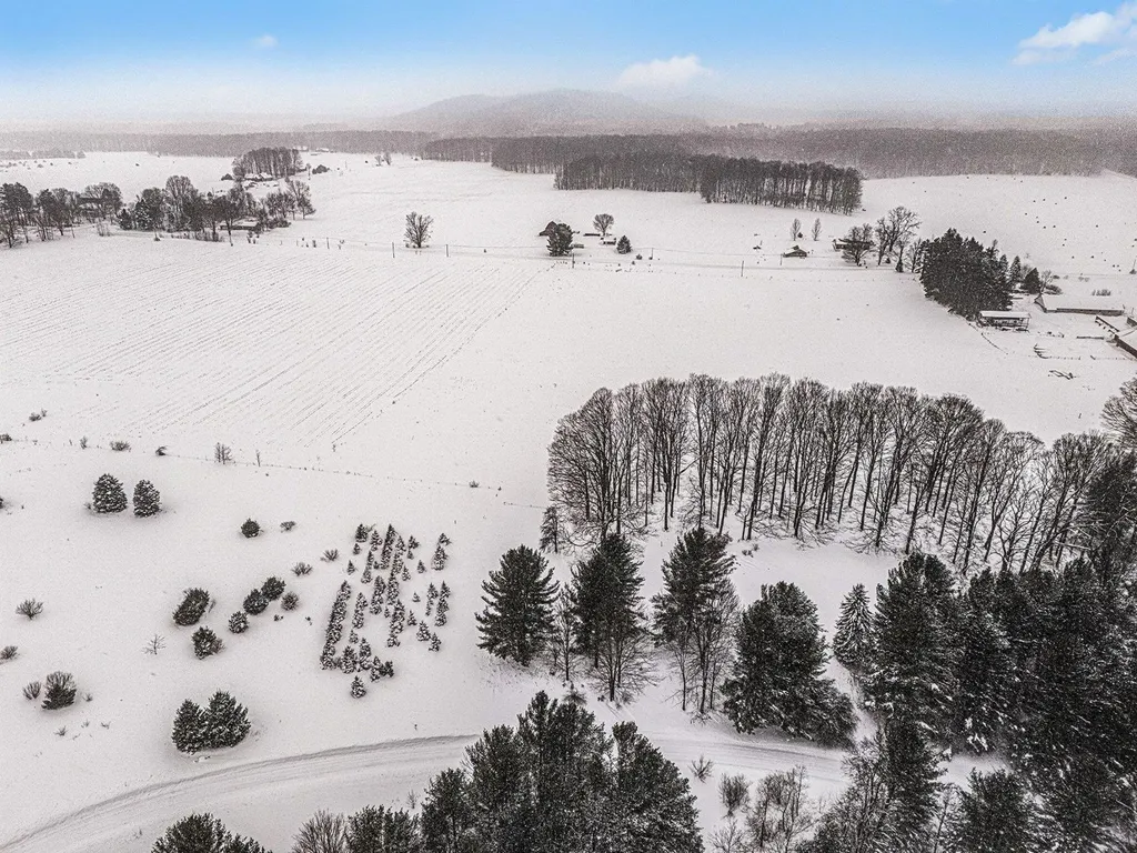 Lot #9 Kadi Lane Almira Township MI 49650