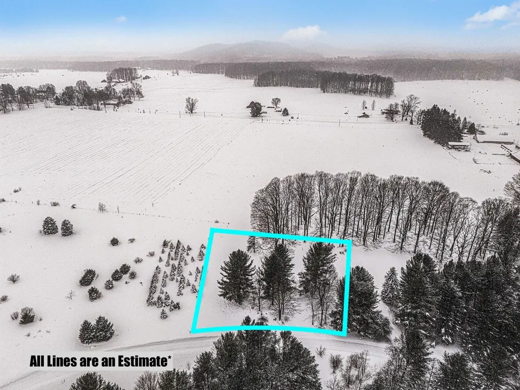 Lot #9 Kadi Lane Almira Township MI 49650