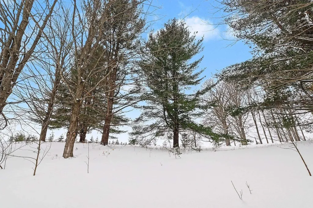 Lot #9 Kadi Lane Almira Township MI 49650