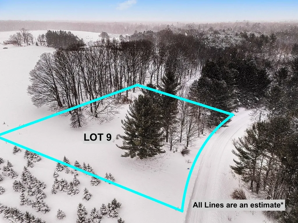 Lot #9 Kadi Lane Almira Township MI 49650