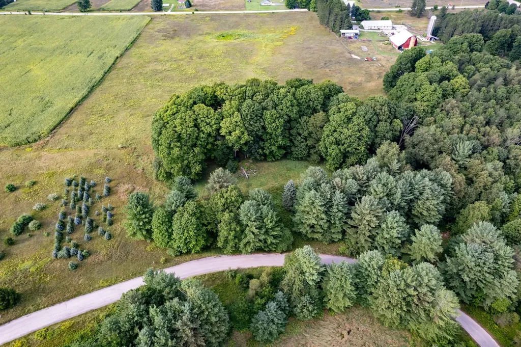 Lot #9 Kadi Lane Almira Township MI 49650