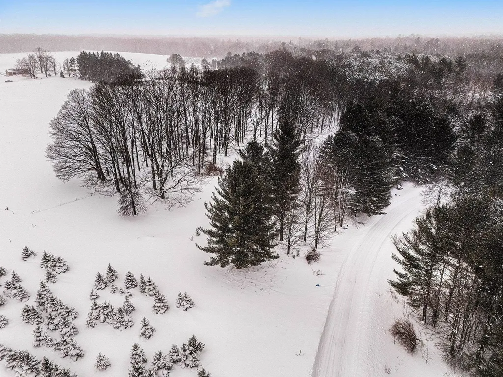 Lot #9 Kadi Lane Almira Township MI 49650