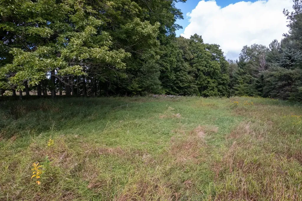 Lot #9 Kadi Lane Almira Township MI 49650