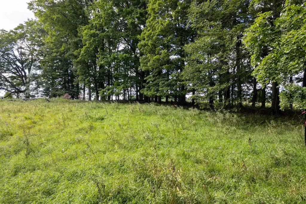 Lot #9 Kadi Lane Almira Township MI 49650