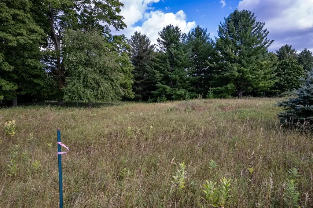 Lot #9 Kadi Lane Almira Township MI 49650