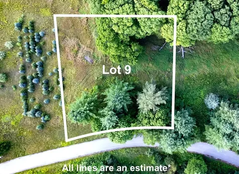 Lot #9 Kadi Lane Almira Township MI 49650