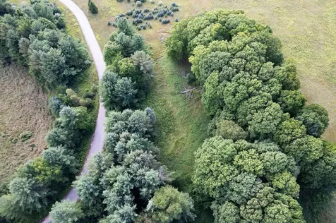 Lot #9 Kadi Lane Almira Township MI 49650