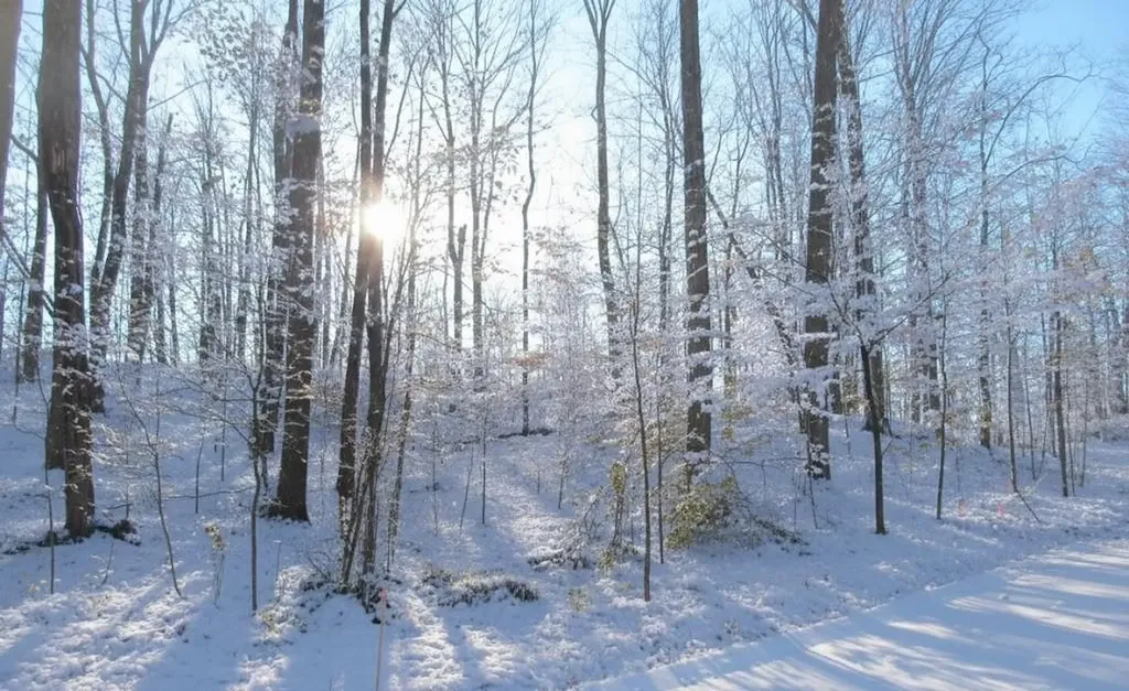 C Garfield Road Paradise Township MI 49649