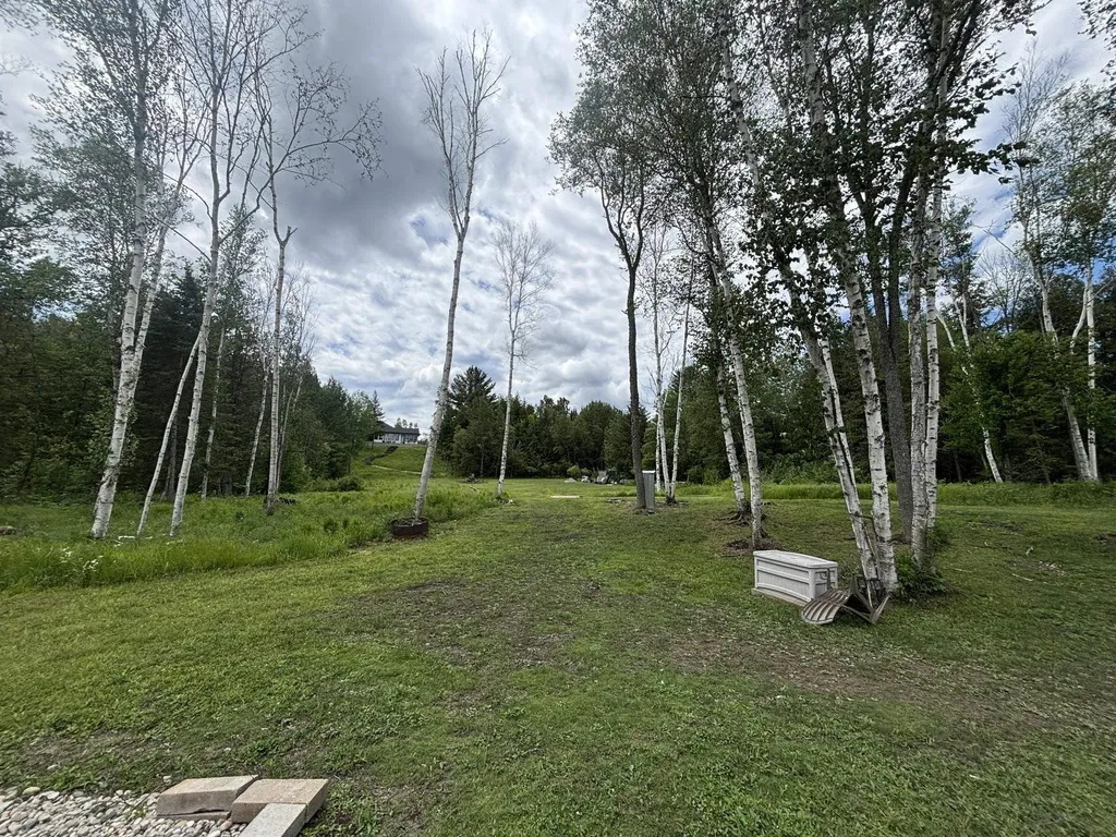 3681 Riverview Road Greenwood Township MI 49663