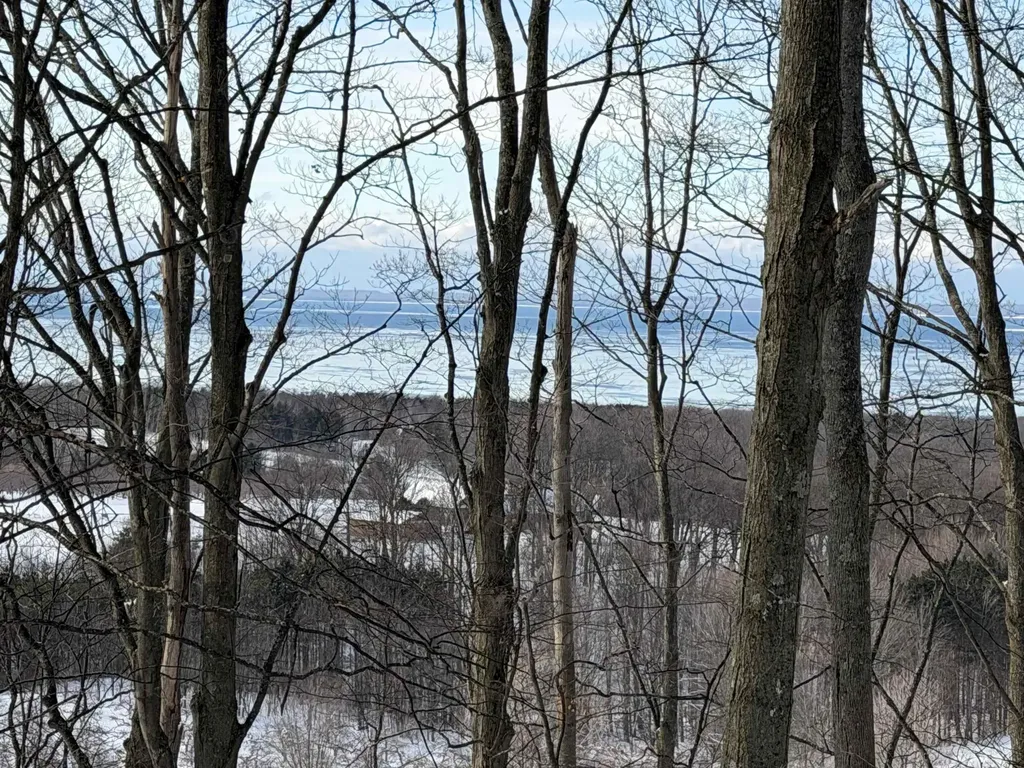 N Christianson Road Leelanau Township MI 49670