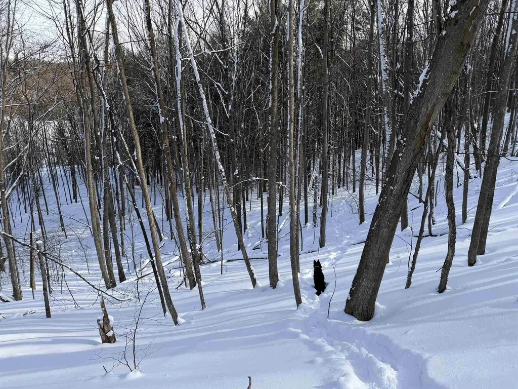 N Christianson Road Leelanau Township MI 49670