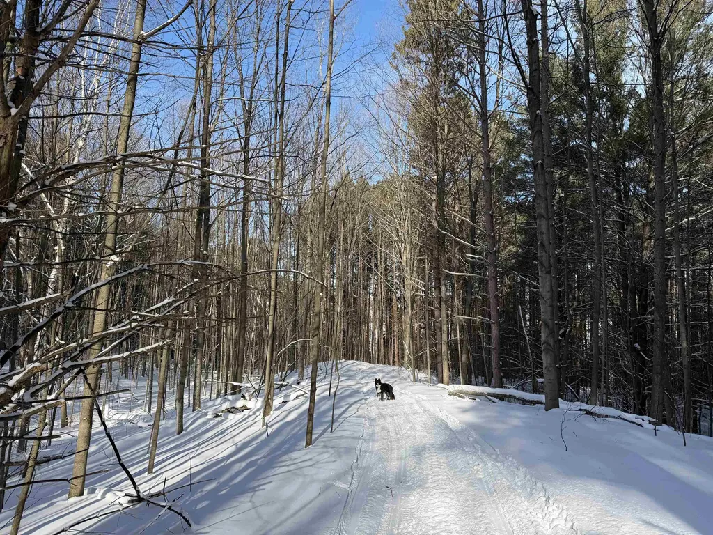 N Christianson Road Leelanau Township MI 49670