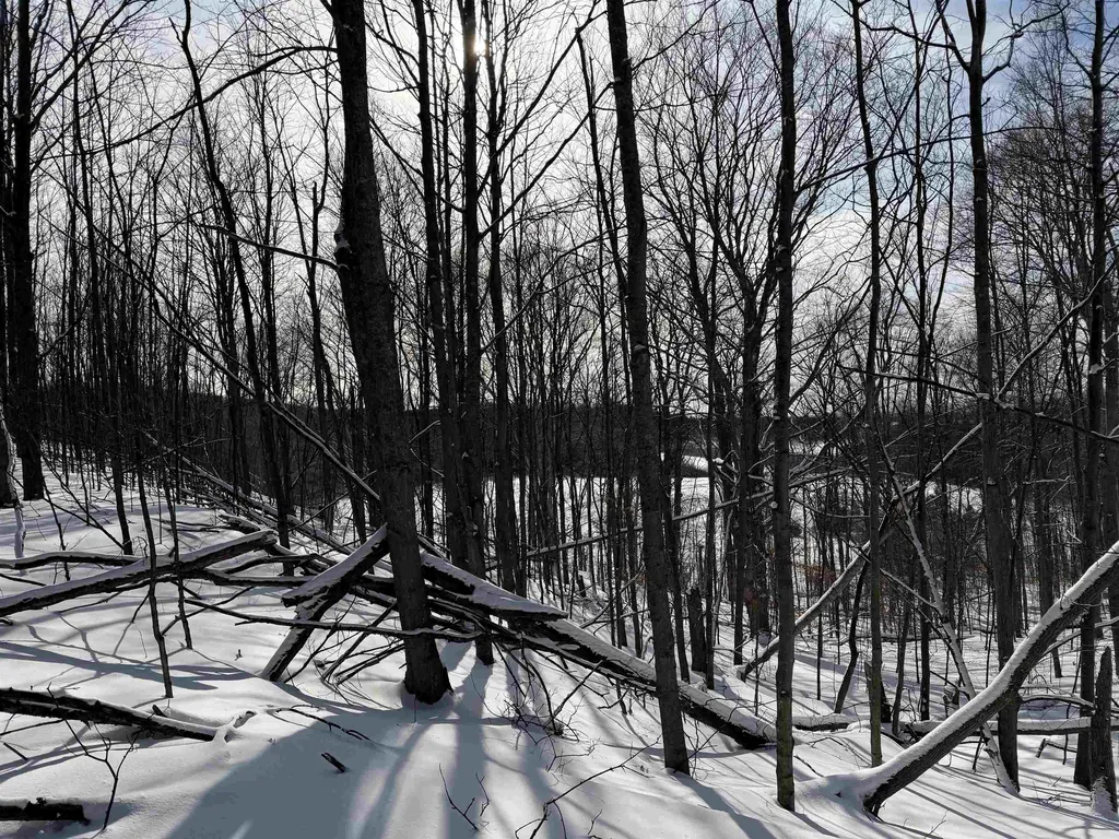 N Christianson Road Leelanau Township MI 49670