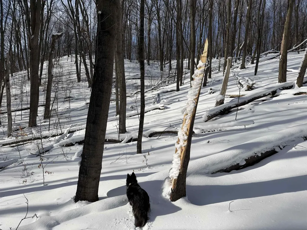N Christianson Road Leelanau Township MI 49670
