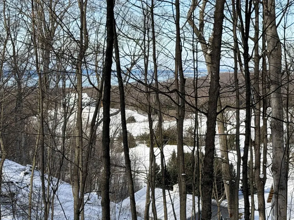 N Christianson Road Leelanau Township MI 49670