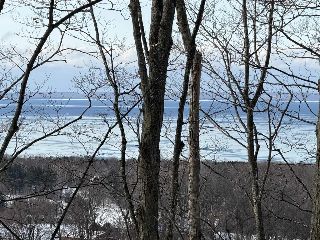 N Christianson Road Leelanau Township MI 49670