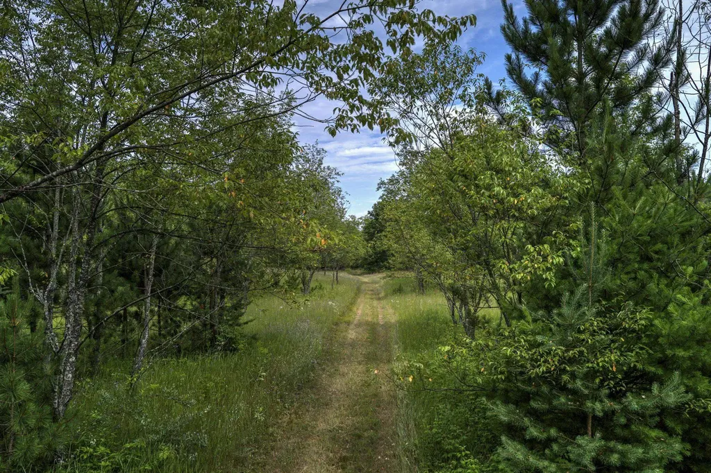 2625 Walton Road Paradise Township MI 49649