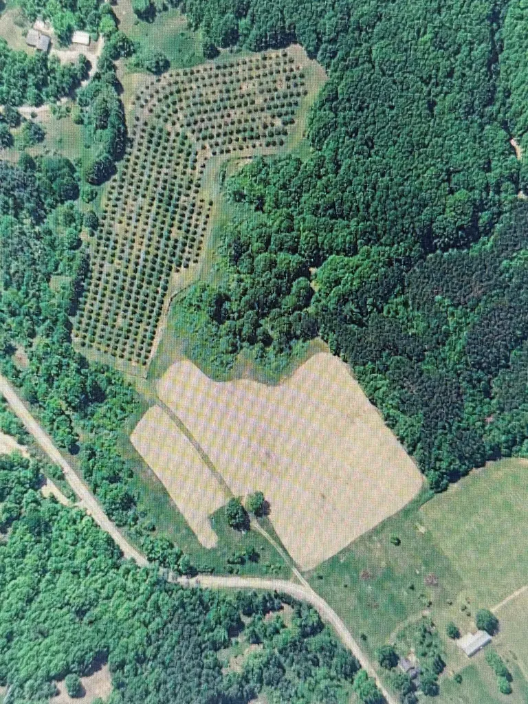 1330 Eden Hill Road Benzonia Township MI 49617